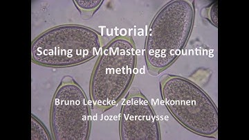 Tutorial Scaling-up McMaster Egg Counting Method