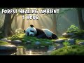 1-Hour Forest Healing Flow – Peaceful Nature Sounds for Deep Relaxation | Relaxing Panda