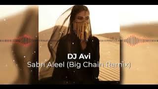 Download lagu *TikTok Song* Sabri Aleel (Big Chain Remix) | Sherine | (شيرين - صبري قليل (فيديو كليب | With Lyric