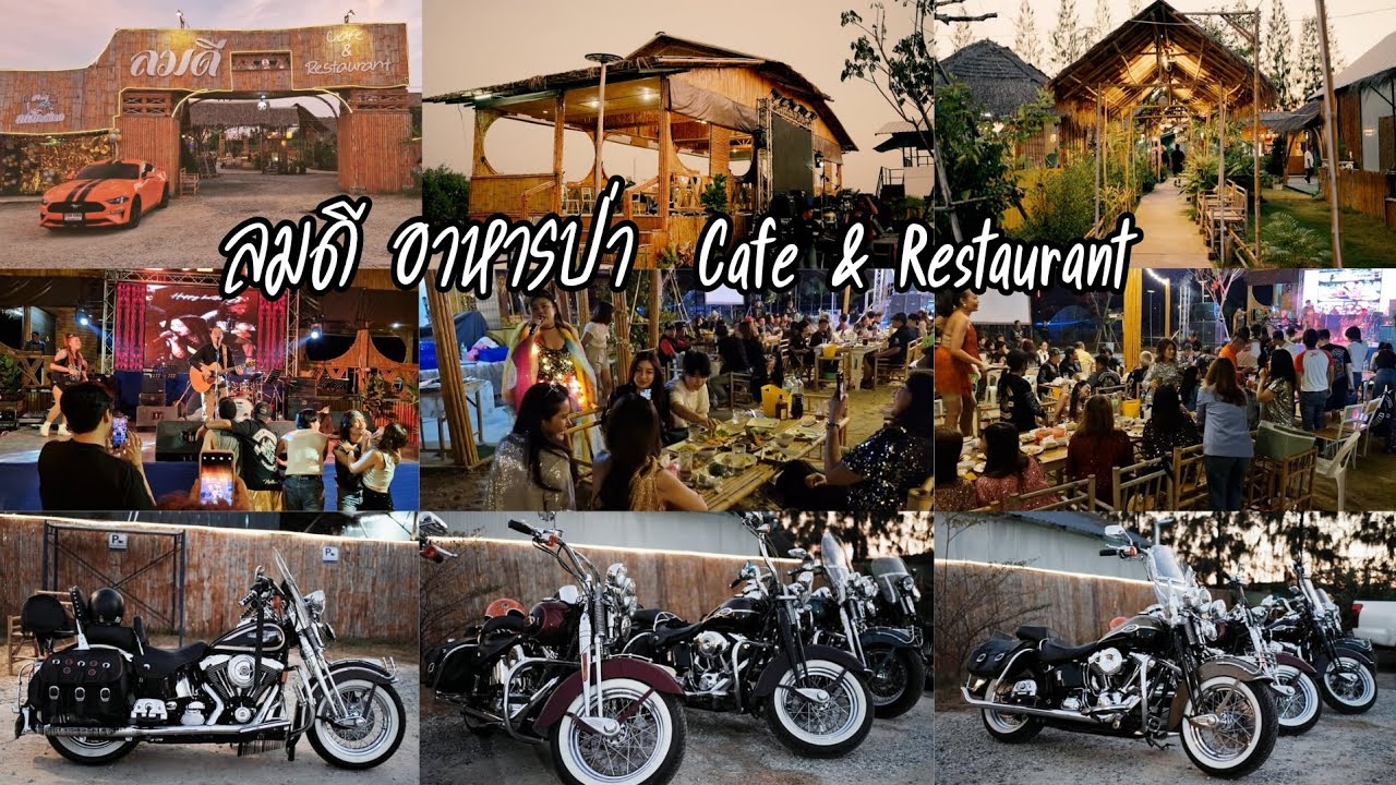ร้านลมดีอาหารป่า Cafe & Restaurant 2026
