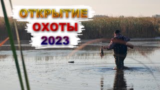 открытие охоты 26.08.2023