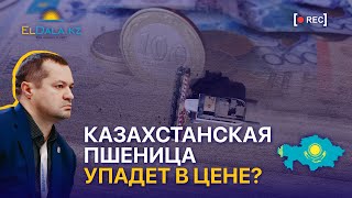 Пшеница подешевеет? Конкуренция, спрос и ожидания от рынка зерновых в 2024