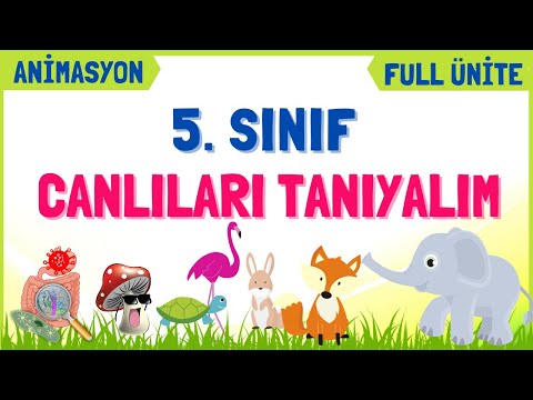 CANLILARI TANIYALIM | 5. Sınıf Fen Bilimleri 2. Ünite Konu Anlatımı