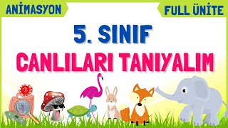 CANLILARI TANIYALIM | 5. Sınıf Fen Bilimleri 2. Ünite Konu Anlatımı