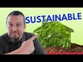 Easy Ways to Have a More Sustainable Home
