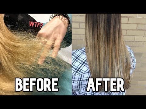 HOW I SAVED MY EXTREMELY DAMAGED HAIR Tips for Fixing Broken Hair