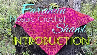 Farahan Mosaic Crochet Shawl - Introduction Video