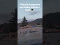 #karga #crow #doğa #nature #kuşlar #birds #vahşiyaşam #tokat #shorts #gökyüzü #ilginçvideolar"