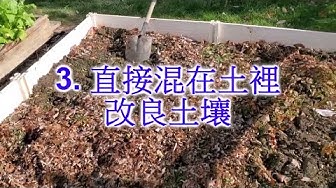 十万年腐葉土 Youtube