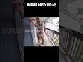 Epic Party Crash: He Just Wants to Join the Fun! 😂😆🤣 #funny #shorts #fyp #fypシ゚viral