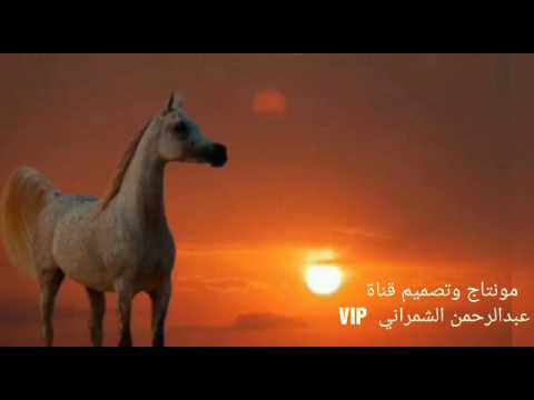 ونيت من صدات الأحباب ابو حنظلة 