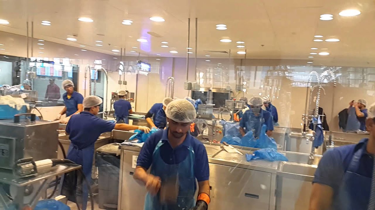 Fish cleaning at New Fish Market Jubail Sharjah YouTube