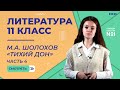 Трагедия Григория Мелехова в романе «Тихий Дон». Видеоурок 32. Литература 11 класс