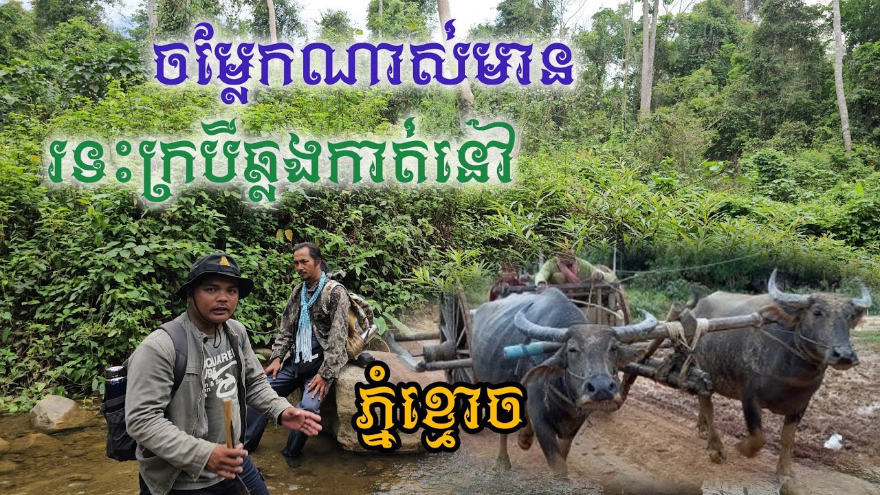 ចម្លែកណាស់មានរទះក្របីឆ្លងកាត់នៅភ្នំខ្មោច