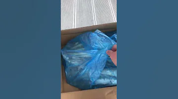 Ледяная рыба. Обзор