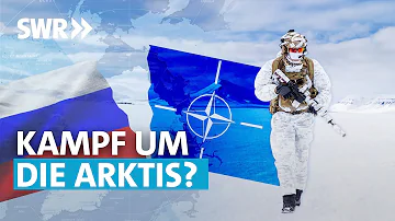 Was sind die Hauptmerkmale der Arktis?