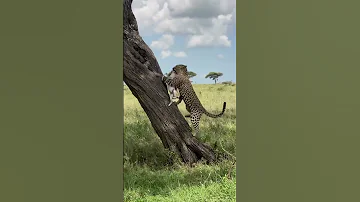Tanzania Is Africa S Visual Masterpiece 