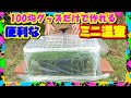 100均グッズだけで作れる“ミニ温室”　冬,早春の育苗にピッタリ