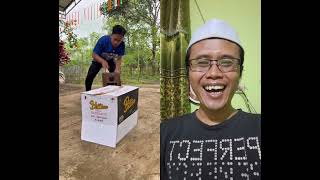 MASUK KEDALAM KARDUS GAK MAU MAKAN #funny #comedy