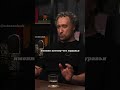 Мир муравьев. Михаил Никитин. #наука #science #shorts