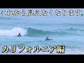 【〇〇発生?!】朝一のハンティントンビーチに行ってみたら、やばいことになっていた。。