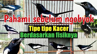 KARAKTER KACER BERDASARKAN CIRI FISIKNYA