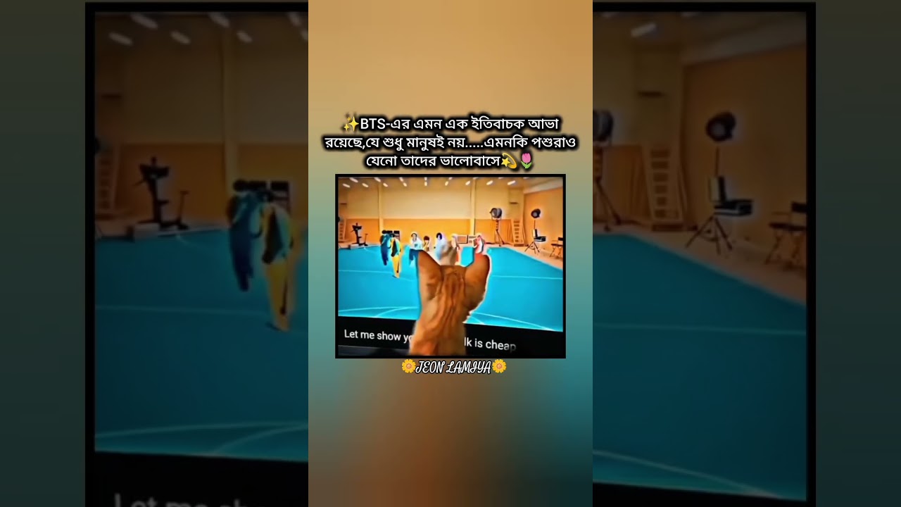 👉কিছু তো বিশেষ আছে তাদের মাঝে🤗💞#bts #viralvideo #btsarmy #jeonlamiya