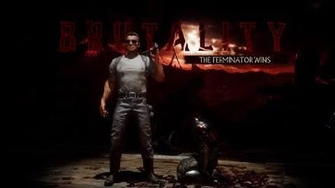 The Terminator brutality MK 11