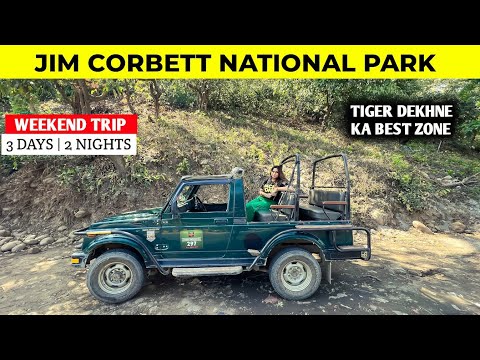 JIM CORBETT NATIONAL PARK SAFARI 2023 ( LATEST VIDEO )