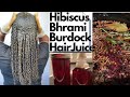 Stop Hair Loss, Heal Your Scalp, Promote Growth | Hibiscus Hair Juice | Healthy Journey Series