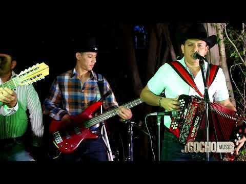 CELOS DEL VIENTO:::::LOS
