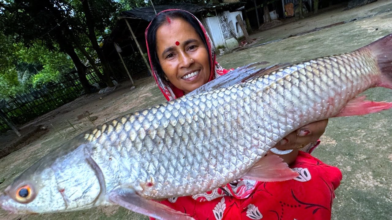 পুকুর থেকে বড়শিতে মাছ ধরে সেরা স্বাদের মিরিক মাছ রান্না খাওয়া | Fishing and cooking | villfood