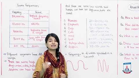 Class 4 - Science - Chapter 07 - Lecture 8 Heat, Light and Sound Review - Allied Schools