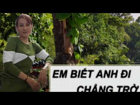 Anh biết em đi chẳng trở về karaoke song ca