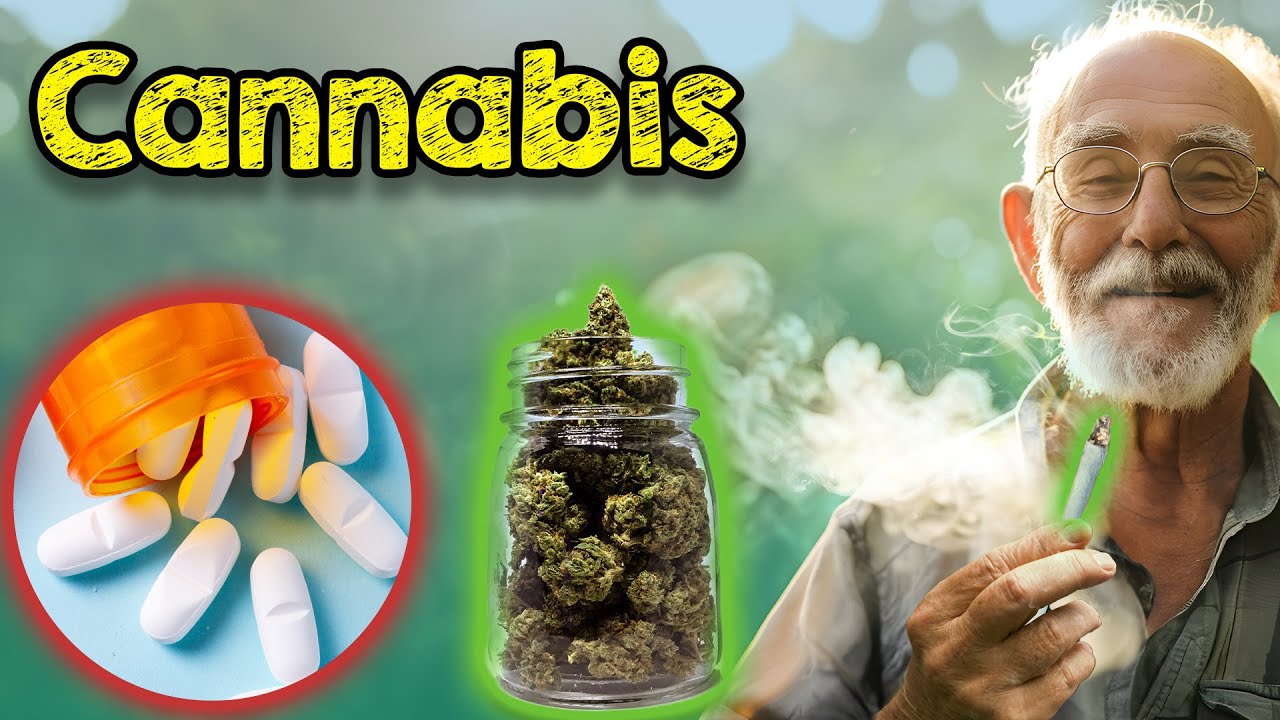 Cannabis Legalisierung: Kiffen statt Schmerztabletten? Sucht oder Segen? Risiken bewerten!