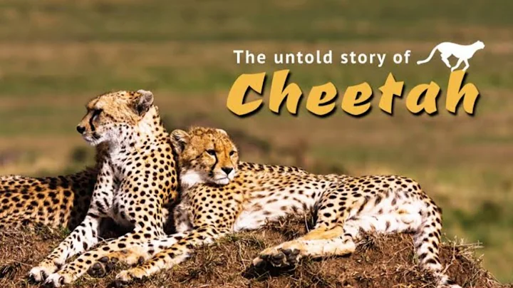 🔴 LIVE: Enter the Savage Kingdom: Ultimate Predators | Watch Now on Nat Geo WILD