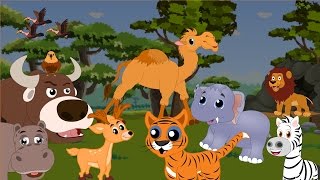 Divoká zvířata - Zvuky divokých zvířat pro děti