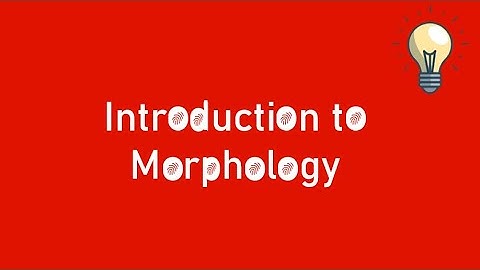 Introduction to Morphology