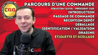 PARCOURS D'UNE COMMANDE CGG #tcg #grading #charizard #pokemon #pokémon #collection #pokemonfr