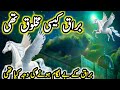 Buraq kaisi maqlook thi || buraq ki sawari || buraq ul nabi kasi thi || Gul Stories