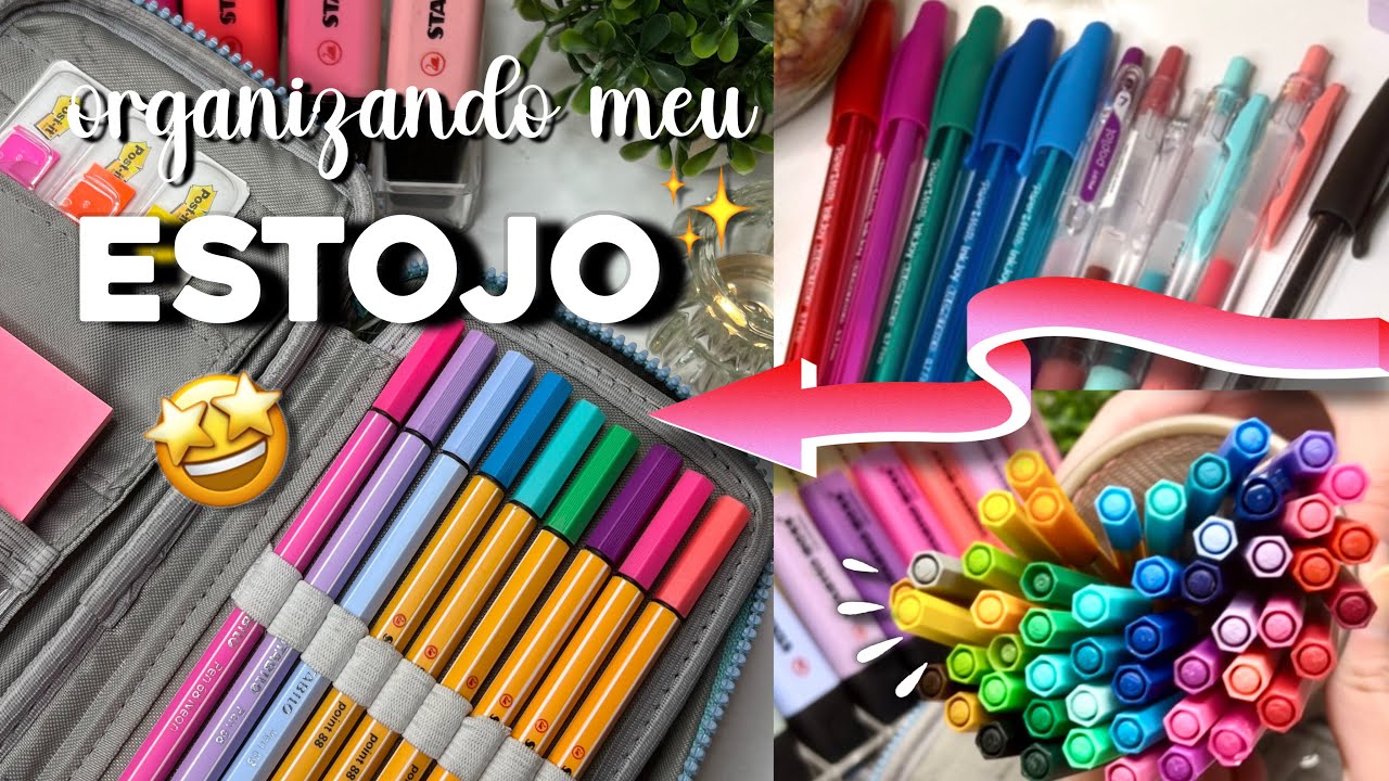 ORGANIZANDO MEU ESTOJO | O que tem no meu estojo | Material Escolar 2025