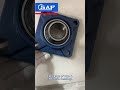 CSAF Bearings