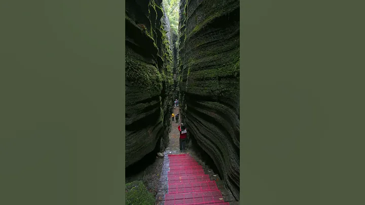 Enshi Suobuya Stone Forest in Hubei Province #travel #china #nature - DayDayNews