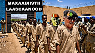 Daawo Maxaabiistii Laascaanood ku xirnaa oo Culimada Siidayn Rabaan Faysal Bootaan oo wayn Wayn kaso
