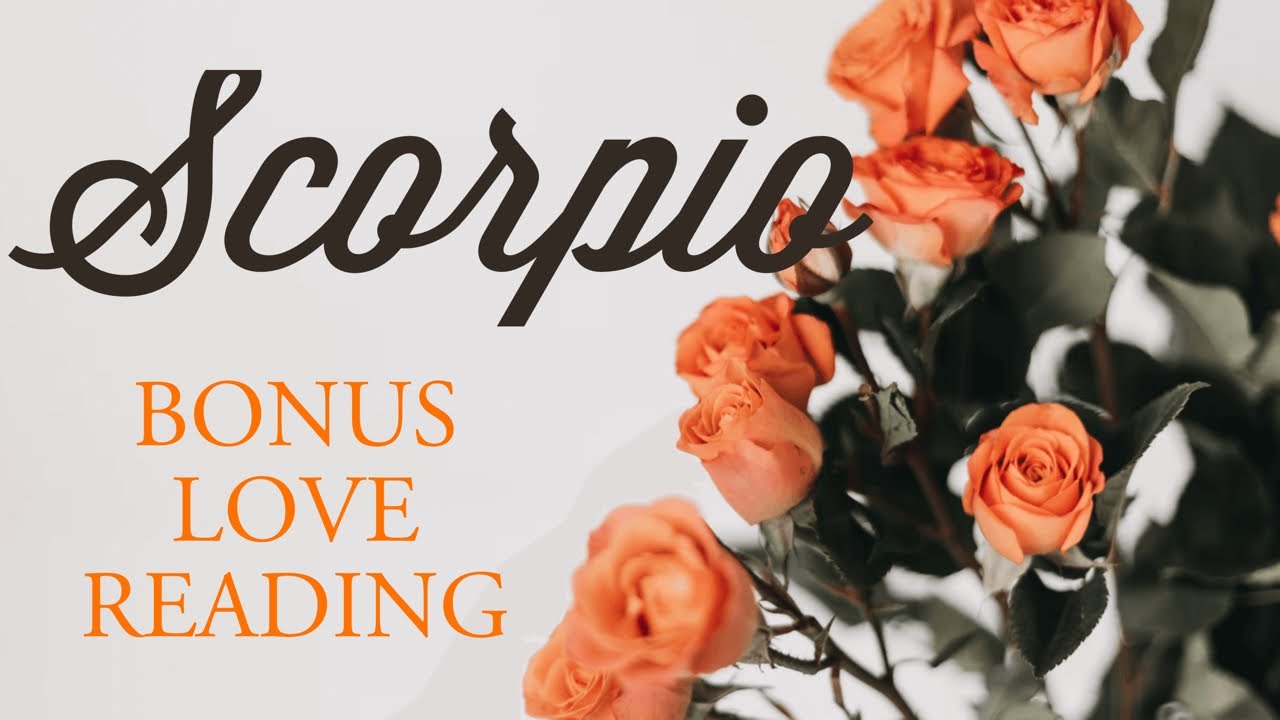 SCORPIO tarot love ♏️ This Person Loves You Scorpio But Their Ego Got Better Of Them …