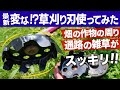 話題の畑で超便利な草刈り刃!?雑草を削り取るトルネードと雑草極み刈でスッキリ草刈り