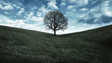 ان للمتقين مفازا للقارئ عبد الباسط عبد الصمد