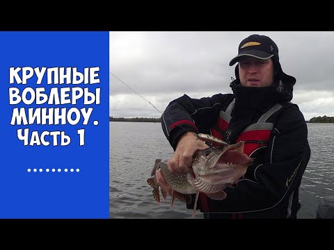 Ловля на крупные воблеры