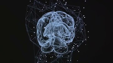 Mirror Neurons - The Science of Empathy 4K