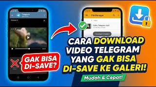 How to Download Telegram Videos That Can't Be Saved to Gallery